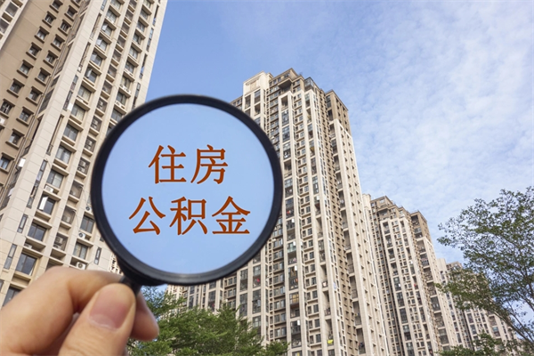 漯河住房公积金怎么提（怎样提取住房公基金）